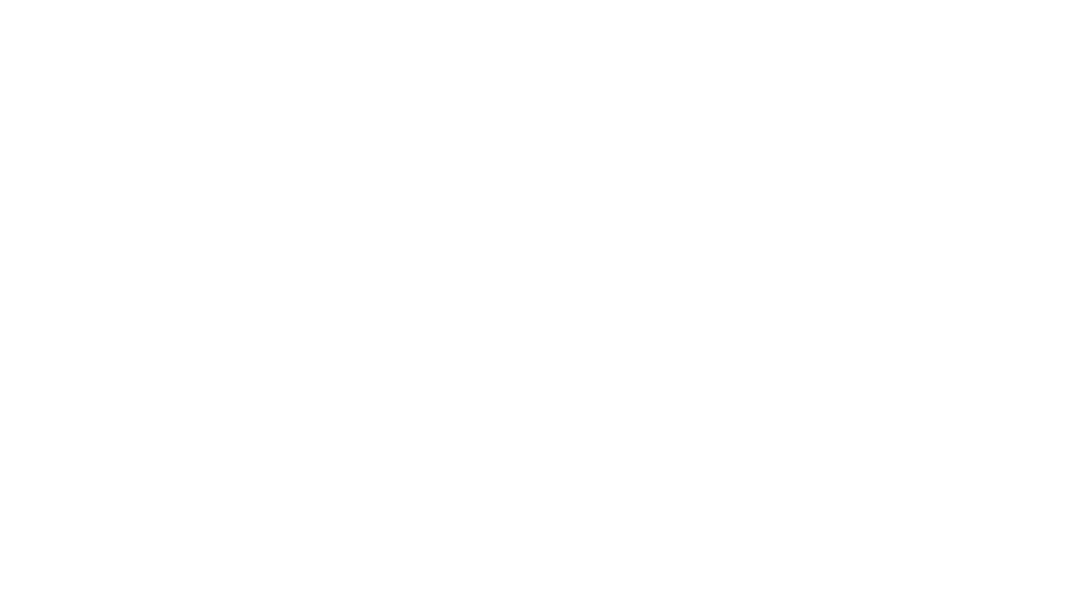 Female Entrepreneur Association