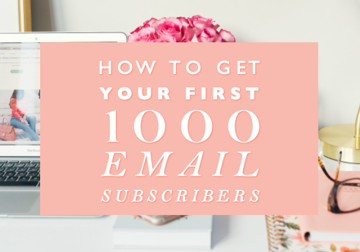 How to Get Your First 1000 Email Subscribers | Female Entrepreneur ...